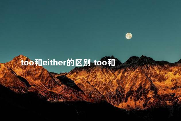 too和either的区别 too和also的区别口诀